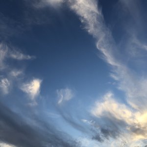 美艳yin荡狐妖采补榨干
